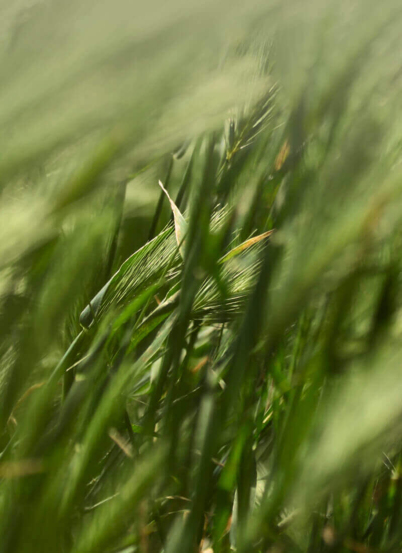Autre – Image 4